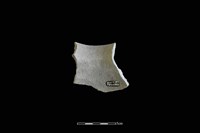 陶罐藏品圖，第2張